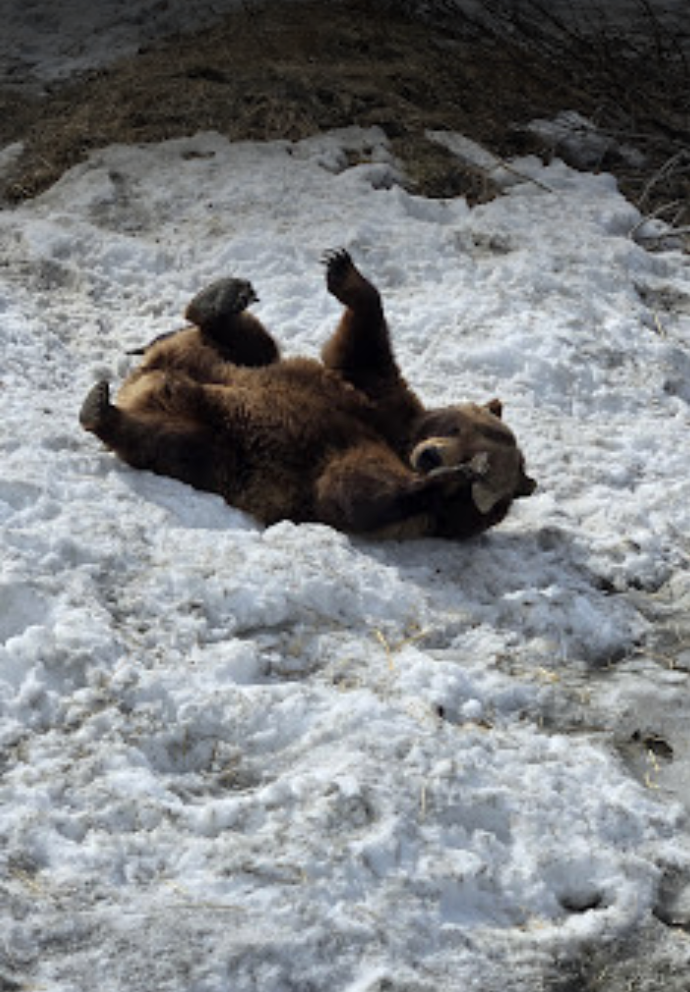 April in Alaska